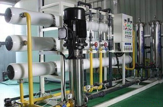 1735632741732716.jpg 1735632741732716.jpg